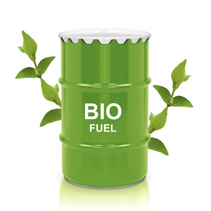 Biodiesel Fuel For The Future